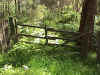 Bush gate